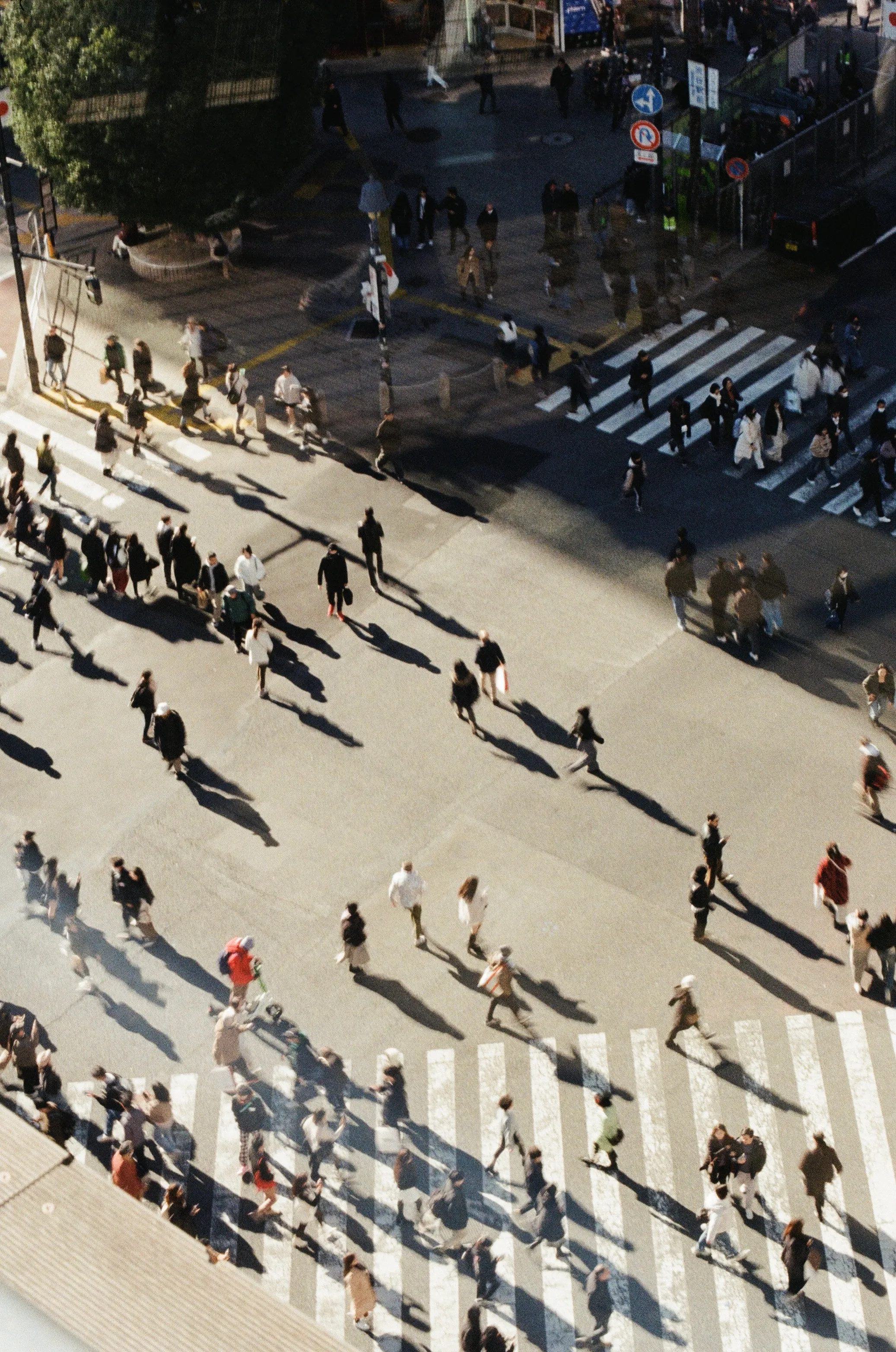 ITS THAT CROSSING!