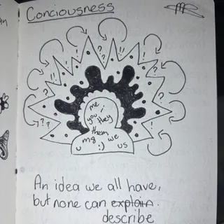 Conciousness